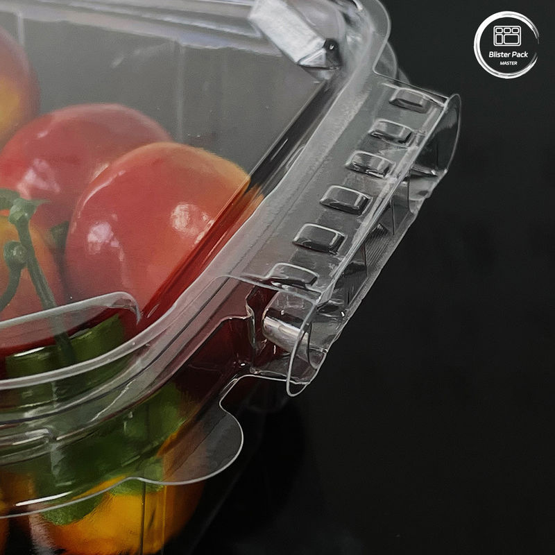 Ramah lingkungan 16 & 24 Oz wadah salad dengan tutup terpasang sekali pakai untuk produk segar