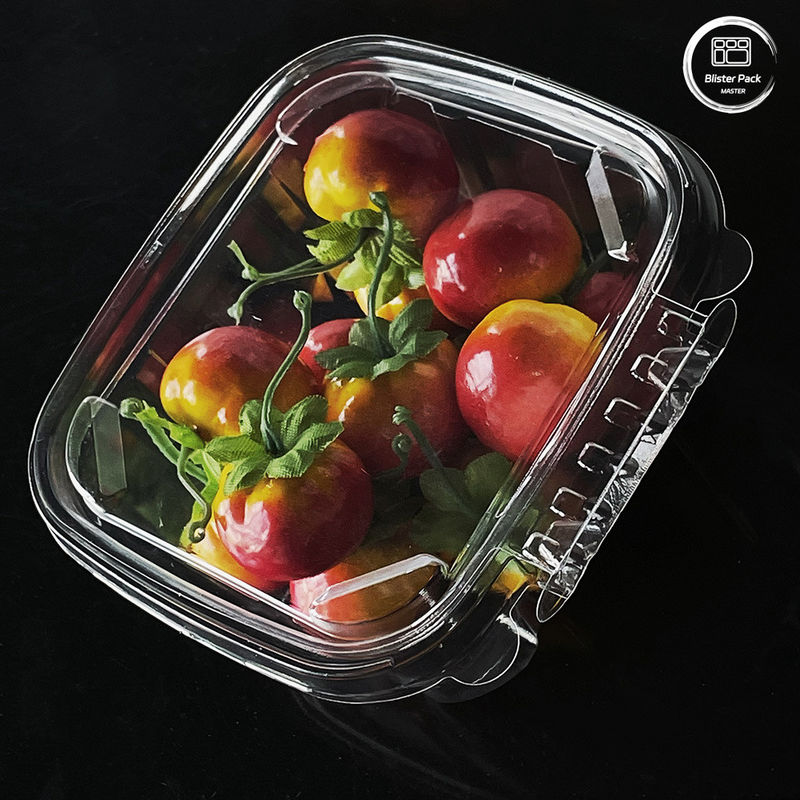 Ramah lingkungan 16 & 24 Oz wadah salad dengan tutup terpasang sekali pakai untuk produk segar