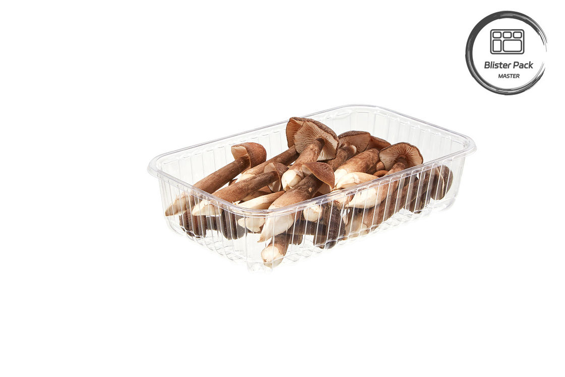 Custom Disposable Plastic Jamur Punnet Blister Buah dan Sayuran Tray