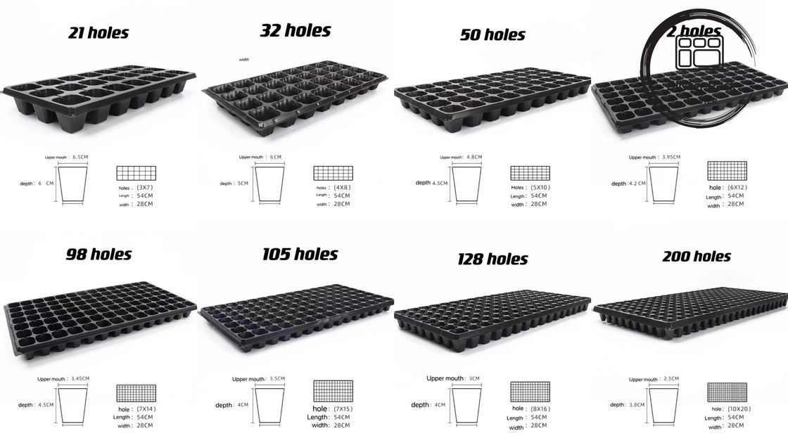 Harga terjangkau Multi Cell besar plastik bibit tray 21 sampai 120 sel untuk Sayuran & tanaman bibit