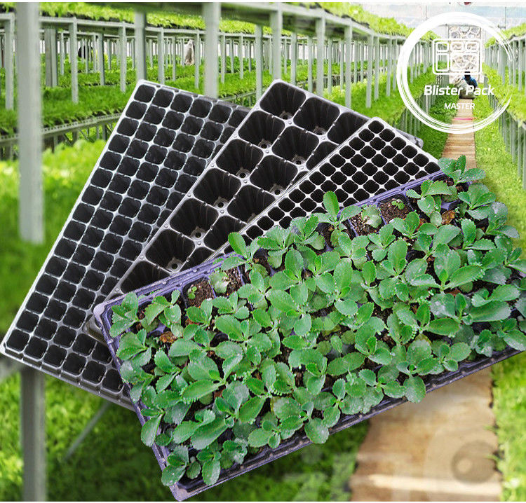 Tray Percambahan Benih Multi Sel yang awet 21 hingga 128 Sel untuk Sayuran & Bunga