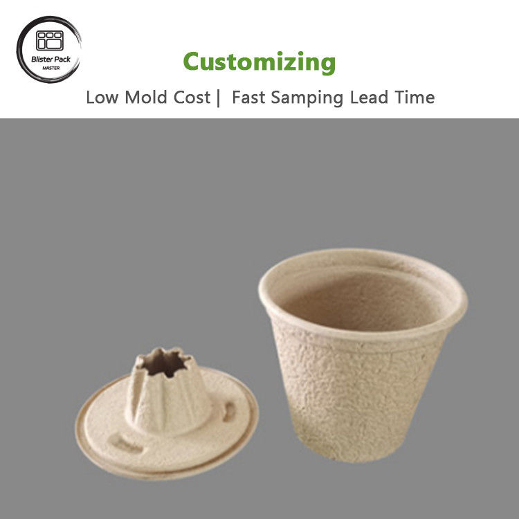 Biodegradable Custom Gula Gula Bagasse 12 Cell Plant Trays Kit Pemula Untuk Penanaman Benih