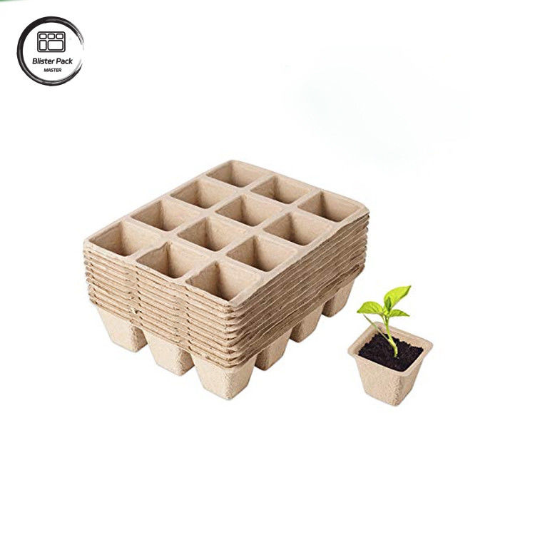 Biodegradable Custom Gula Gula Bagasse 12 Cell Plant Trays Kit Pemula Untuk Penanaman Benih