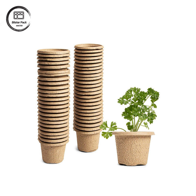 Biodegradable Custom Gula Gula Bagasse 12 Cell Plant Trays Kit Pemula Untuk Penanaman Benih