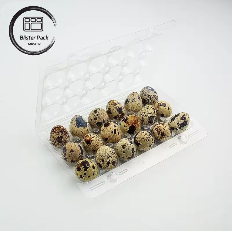 Tray Karton Telur Khusus Berbagai Ukuran (4, 6, 12, 15, 20, 30 Slot) untuk Pengemasan Telur yang Efisien