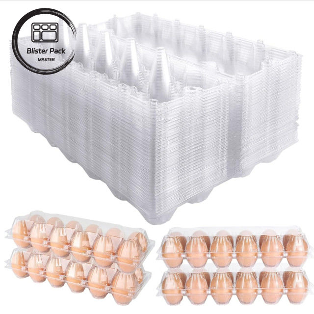 Tray Karton Telur Khusus Berbagai Ukuran (4, 6, 12, 15, 20, 30 Slot) untuk Pengemasan Telur yang Efisien