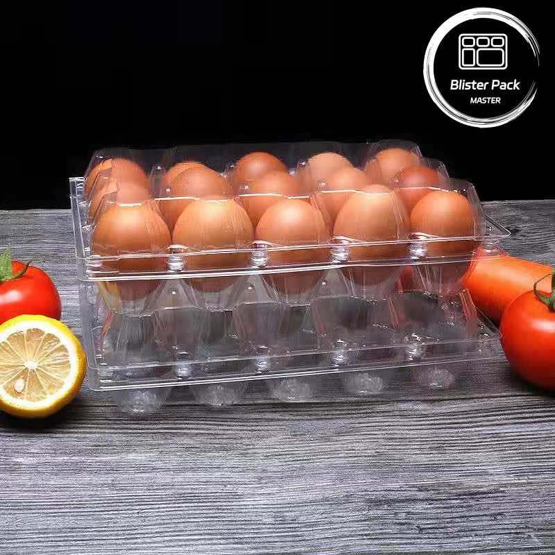 15 Cells Hinged Clamshell Clear Plastic Egg Trays Aman Termoformed Plastic Shipping Trays