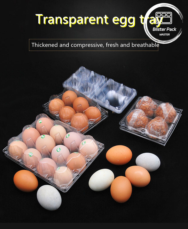 15 Cells Hinged Clamshell Clear Plastic Egg Trays Aman Termoformed Plastic Shipping Trays