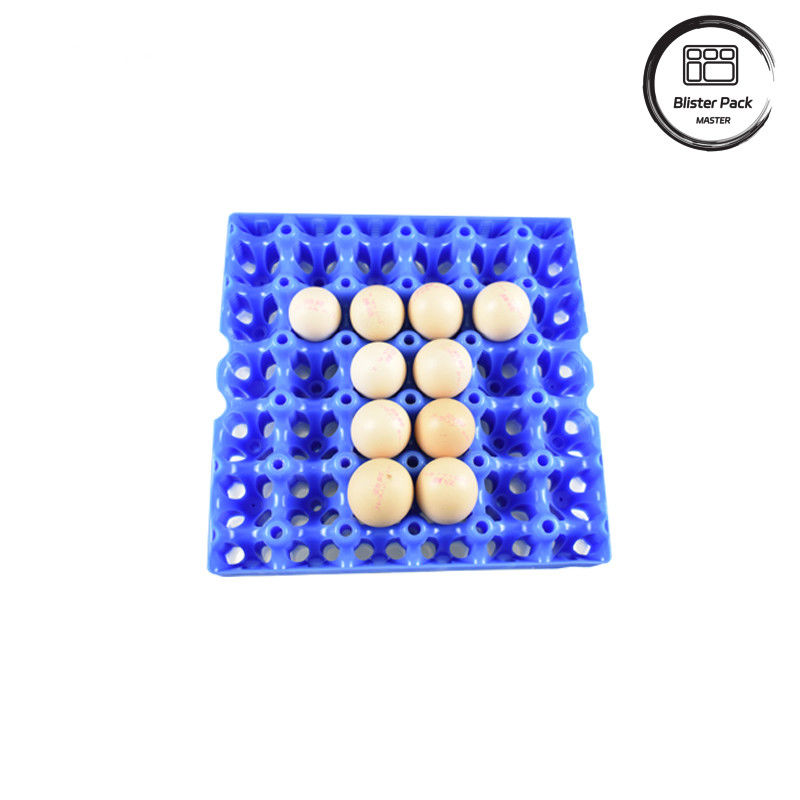 Pengemasan 30 Sel Plastik Blister Tray untuk Telur Ayam