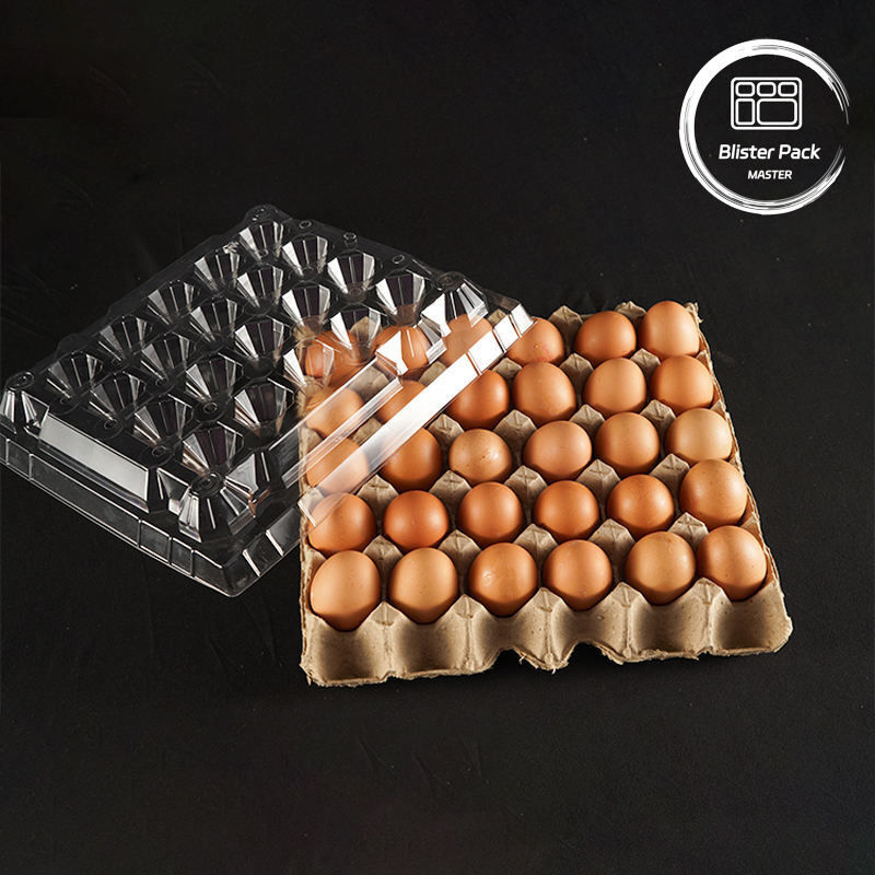 PET Plastic Egg Tray Pengemasan 30 Lubang Karton Dalam Ukuran S/M/L Dengan Bagian Bawah Kertas