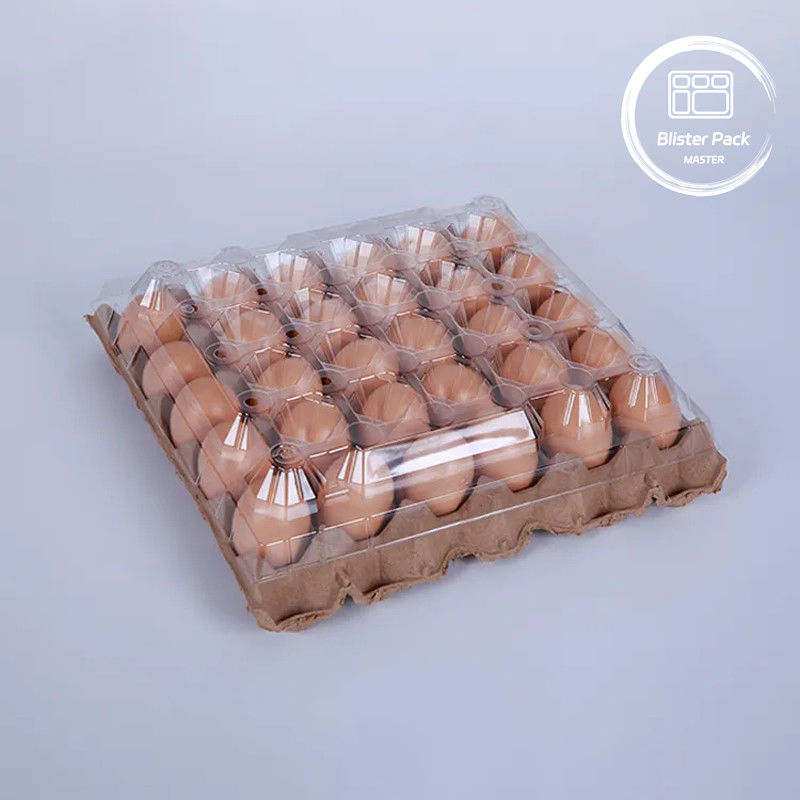 PET Plastic Egg Tray Pengemasan 30 Lubang Karton Dalam Ukuran S/M/L Dengan Bagian Bawah Kertas