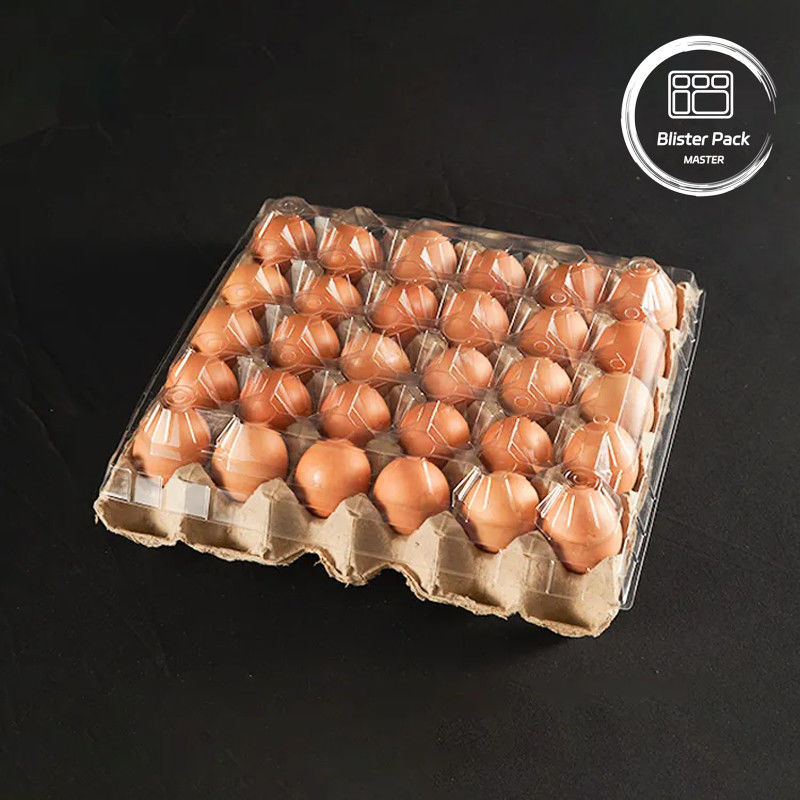 20/24/30 Cell PET Clear Plastic Egg Blister Tray Pengemasan Telur Ayam Kulit Sarang dengan Tutup