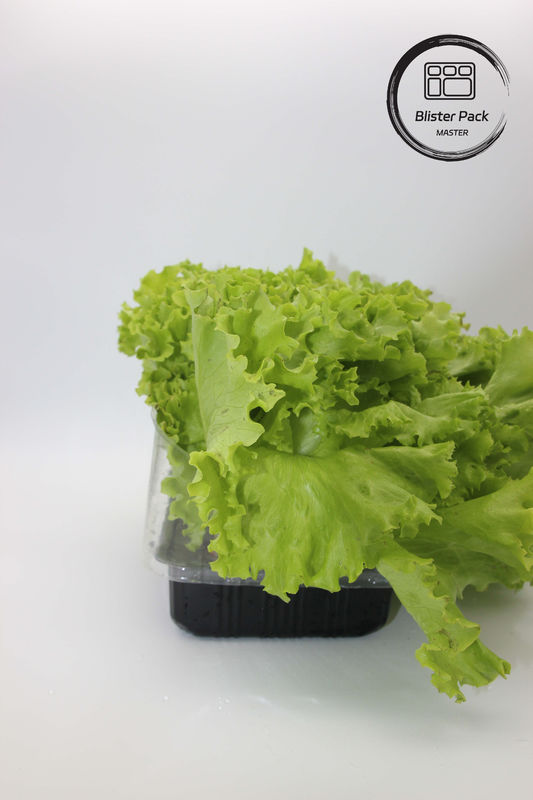 Sayuran dan Buah-buahan Kebun Buatan Tray Biji Plastik Sempurna untuk Dekorasi