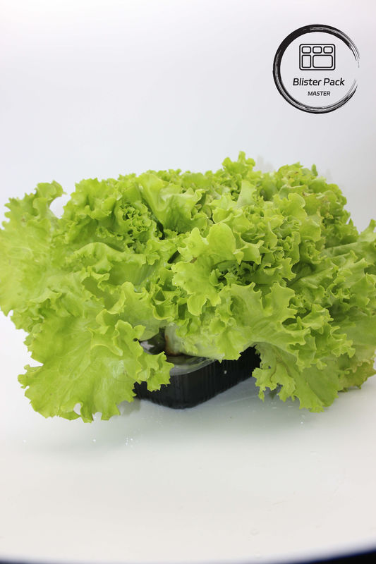 Sayuran dan Buah-buahan Kebun Buatan Tray Biji Plastik Sempurna untuk Dekorasi