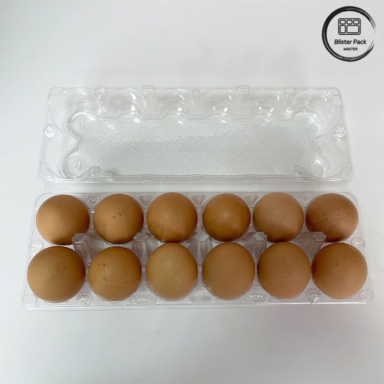 12 Hitung Pakai Ulang Telur Ayam Plastik Blister Tray Thermoforming Tray Untuk Penyimpanan Dan Transportasi