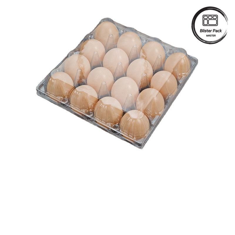 20/24/30 Cell PET Clear Plastic Egg Blister Tray Pengemasan Telur Ayam Kulit Sarang dengan Tutup