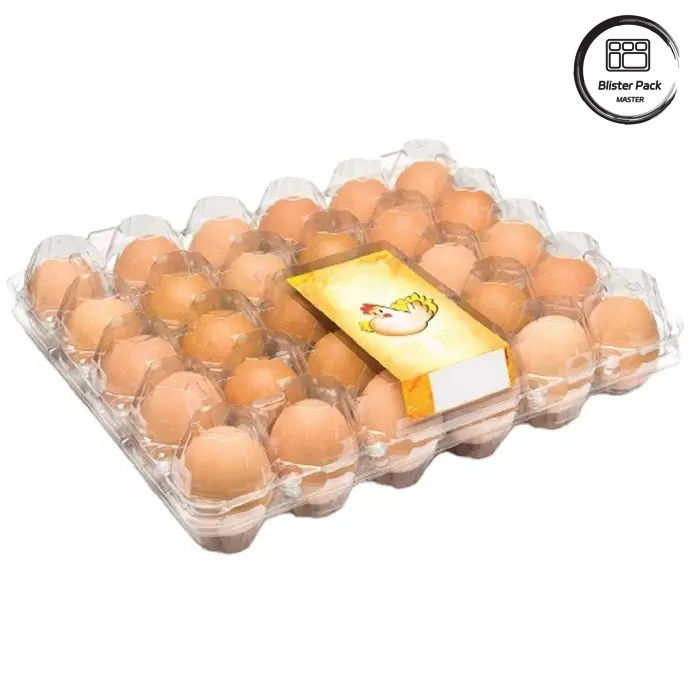 Ukuran yang disesuaikan PET Telur Blister Tray Disposable Vakum Bentuk Plastik Tray