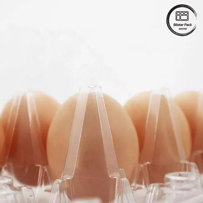 Ukuran yang disesuaikan PET Telur Blister Tray Disposable Vakum Bentuk Plastik Tray