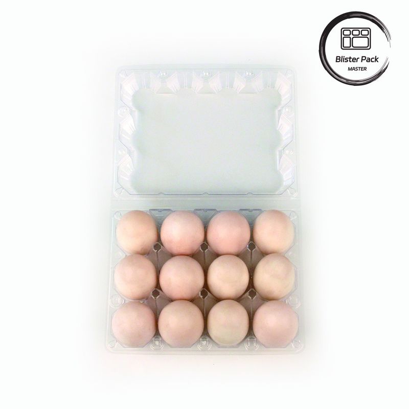 Plastik Tray Telur Kontainer serbaguna dengan 4 sampai 15 lubang Transparan Custom Thermoformed Trays