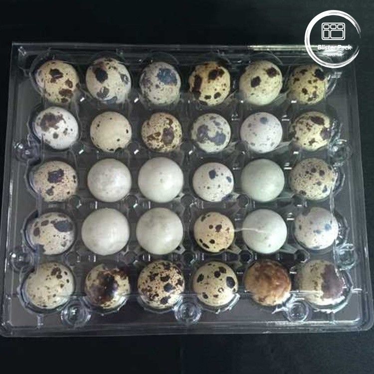 Tray Blister Telur Bulat dengan 30 Lubang Kemasan Telur Grosir Murah