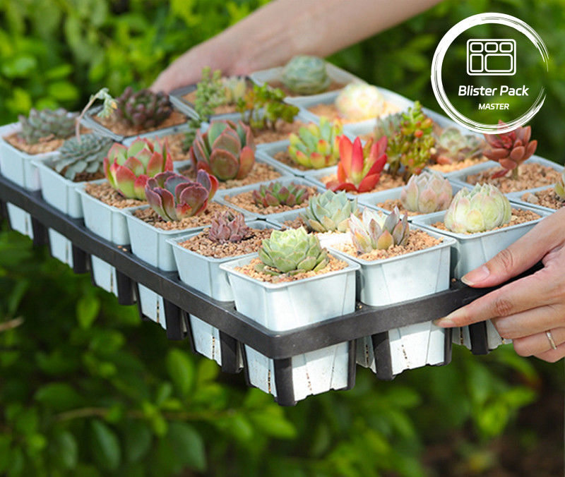 Tray penanam plastik tahan lama 24 lubang Succulent Nursery Pot Budidaya Tray untuk taman