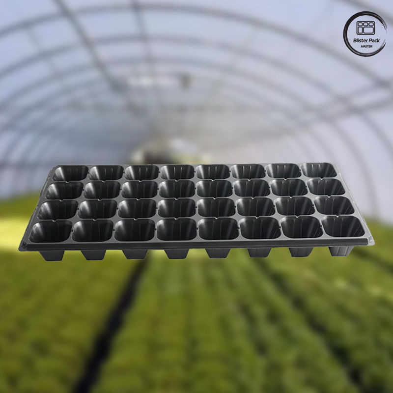 32/50/72/105/128/200 Cell PET seedling tray untuk perkecambahan tanaman, Tray benih kebun sayur