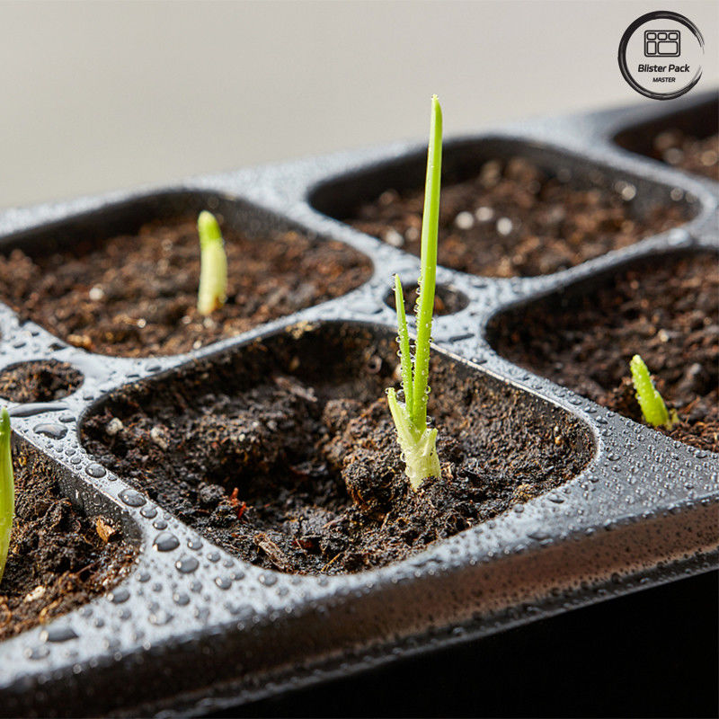 Black PS Garden Tree Planting Seedling Tray, Tray Germinasi 50-Cell yang dapat terdegradasi untuk penggunaan nursery